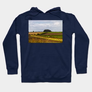 Copse on the horizon Hoodie